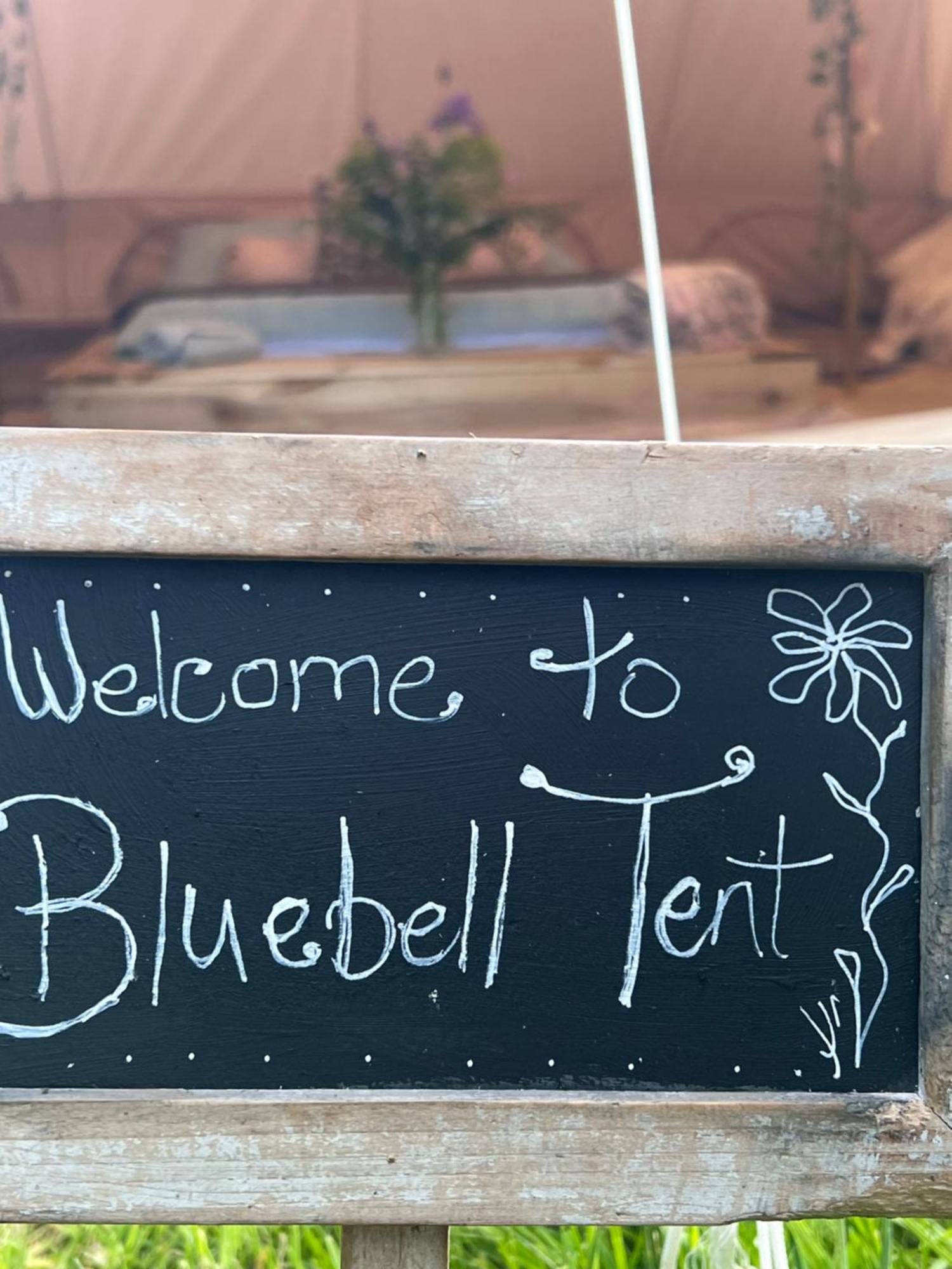 Bluebell Tent At Ballyward Croft Ardkeen Buitenkant foto