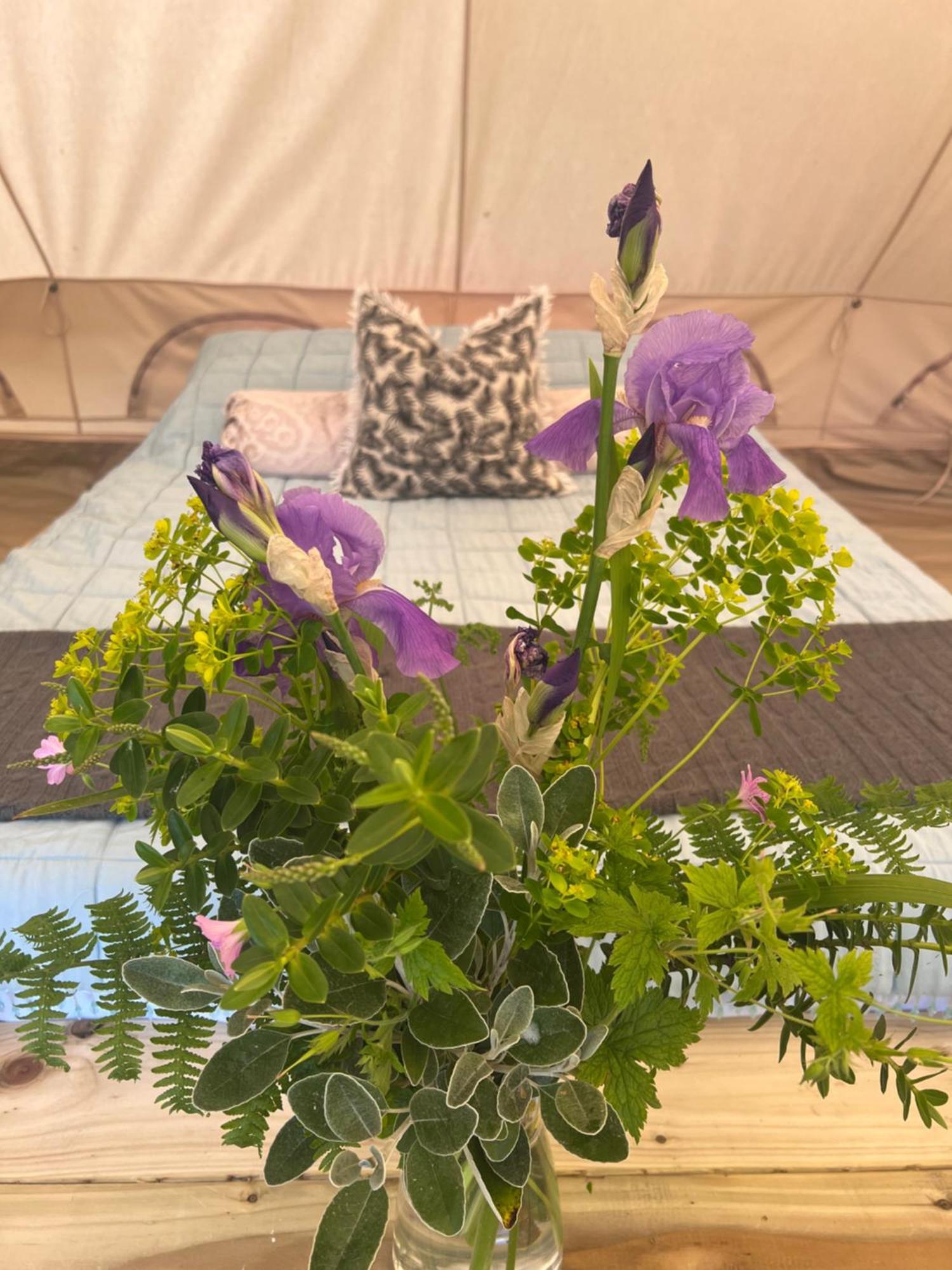 Bluebell Tent At Ballyward Croft Ardkeen Buitenkant foto